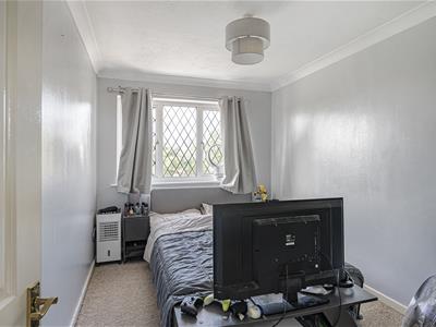 Picture 11